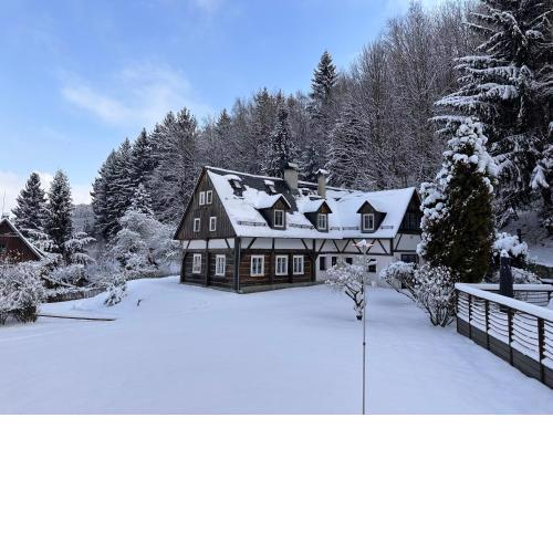 Forest View Cottage