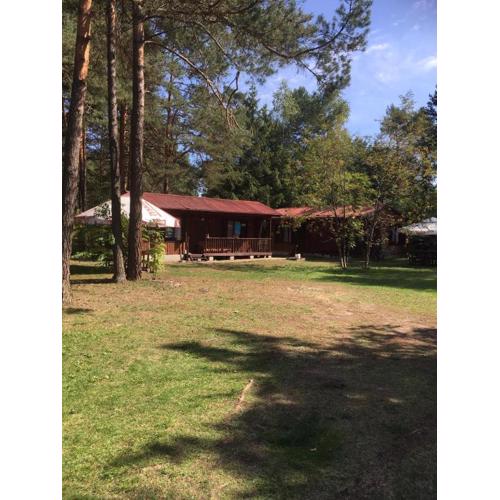Forest Villa- domki