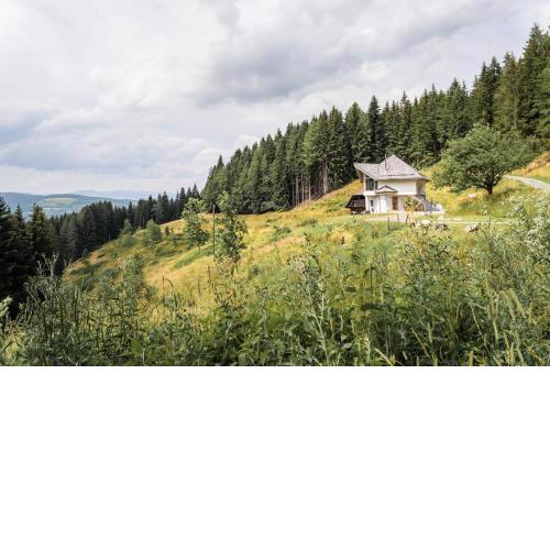 Forsthaus Gray 4