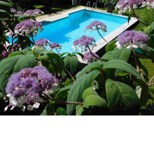 Four Seasons Apartment "GREEN PARADISE"