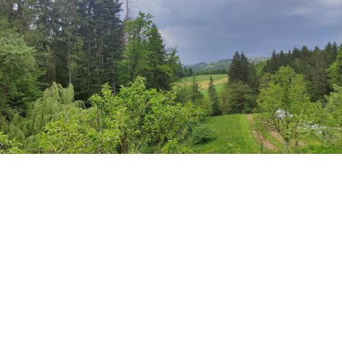 Fuchsbauerhof - Ferienwohnung
