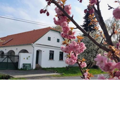 Fűszeres Porta