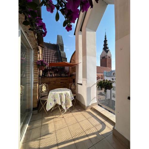 Gael Stary Rynek 1