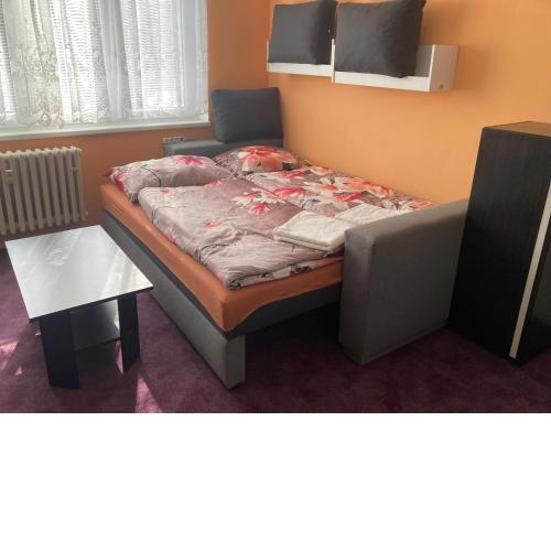 Garsoniera U lesoparku