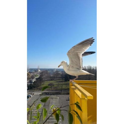 Gdynia Skwer Kosciuszki