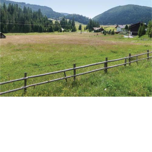Gemuetliches Almhaus