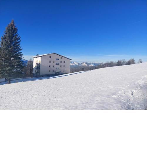 Gemütliche Wohnung mit Talblick