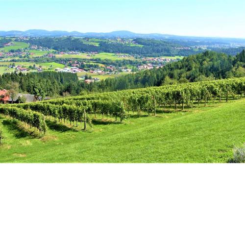 Genuss Appartement am Familien Weingut