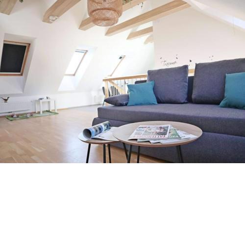 geräumige Dachgeschoßwohnung