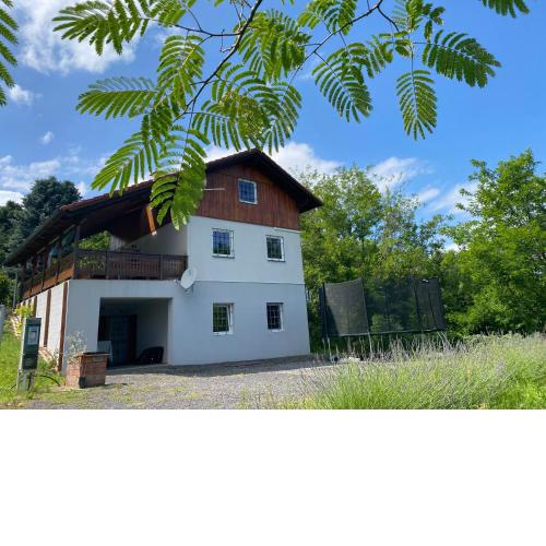 Ginkgo House
