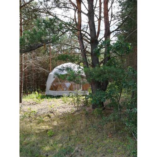 Glamping Drzwi Do Lasu