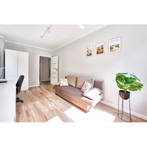 GM Apartament u Profesora