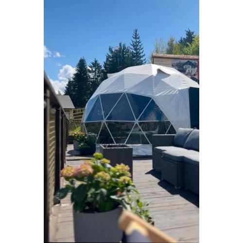 Goat Glamp Zieleniec
