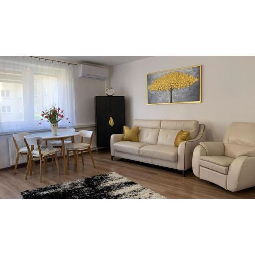 Golden Apartament Legionów