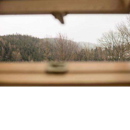 Golden Apartments Zakopane- One Bedroom Apartment - Mountain View&B14