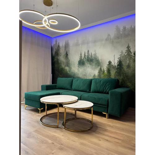 Golden Forest Apartment