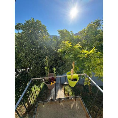 Golija holiday Home