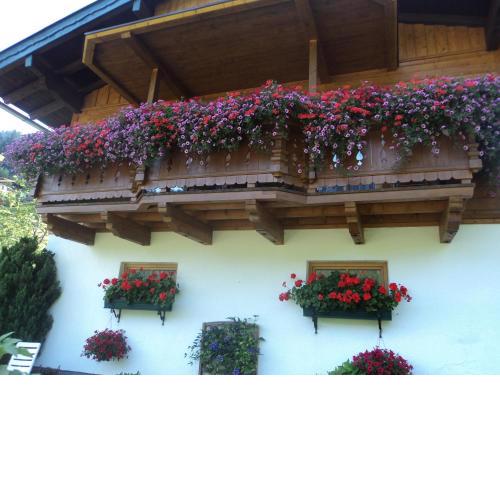 Gondelblick
