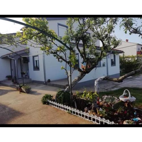 Gordana Apartments