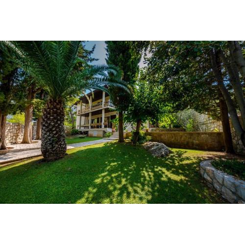 Gorgeous apartment Dora