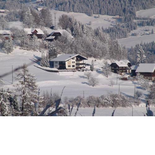 Gorgeous Apartment near ski area