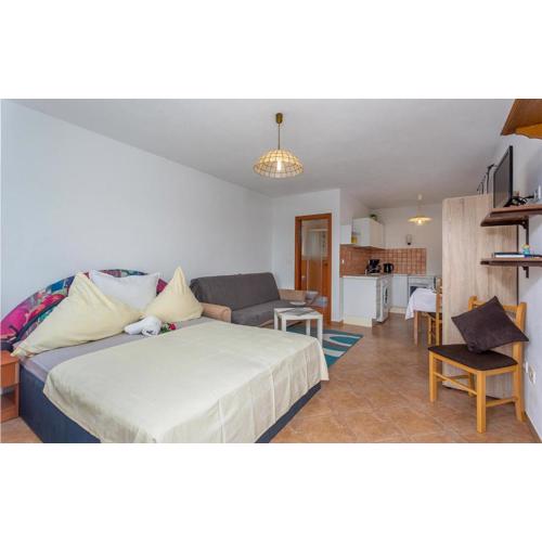 Gorgeous Home In Sveti Vid-Miholjice