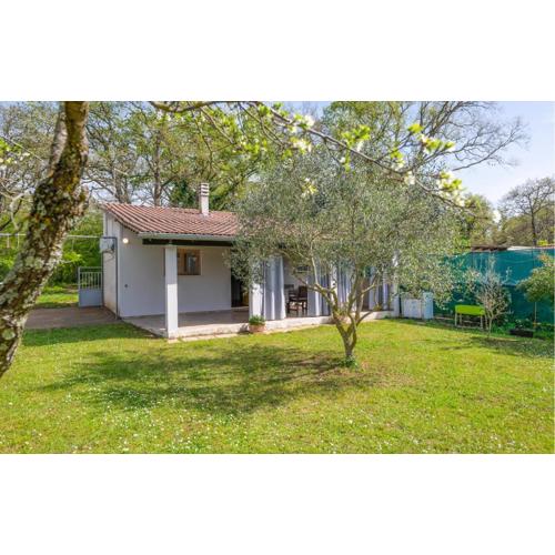 Gorgeous Home In Valbandon With Wifi