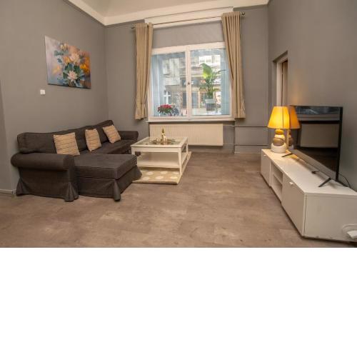 Grand apartment near Dancing House