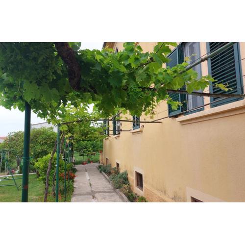 Grape Escape Apartments