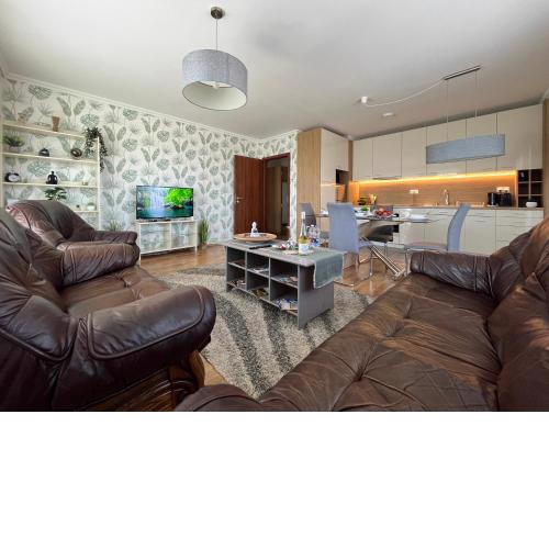 Great Forest View Penthouse Apartment