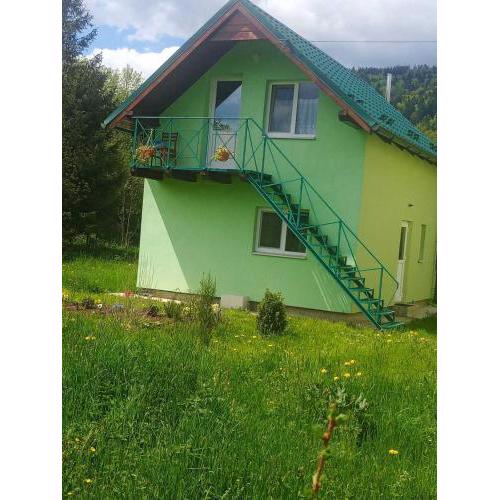 Green House 2 уч ФАЛЬЧІ ВУЛ ПЕРШОГО ТРАВНЯ БУД 5