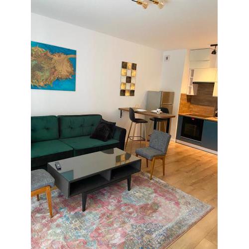Green Sofa Apartment