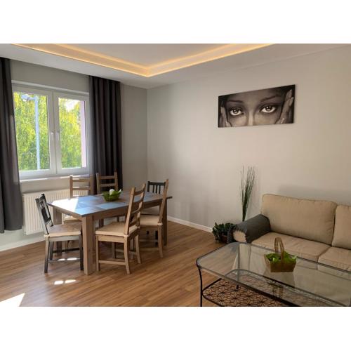 Grey apartment 50 m2