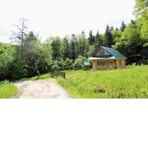 Gribochok