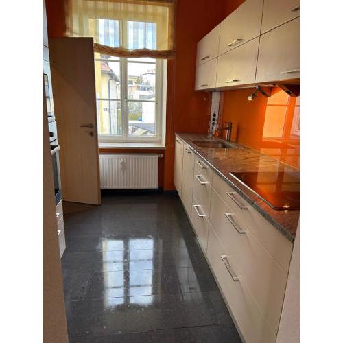 Große Ferienwohnung
