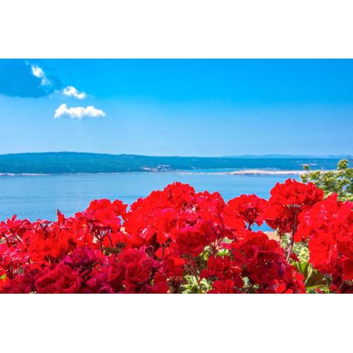 Guest House Djurdjica