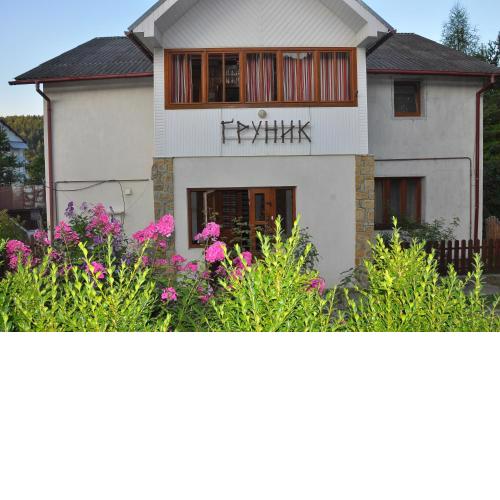 Guest House Grunyk