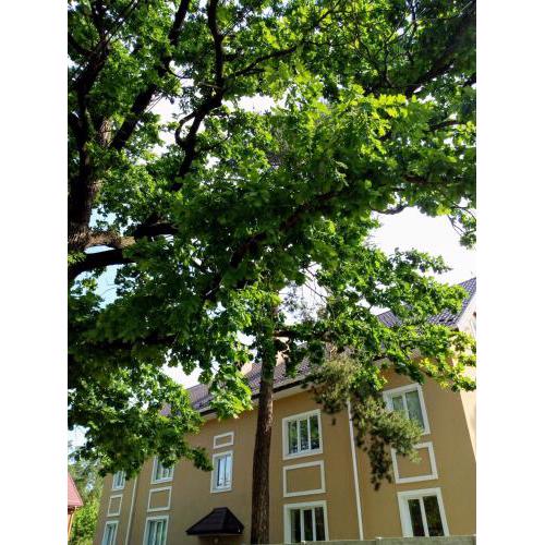 Guest house Kiev forest