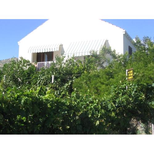 Guest House Kola