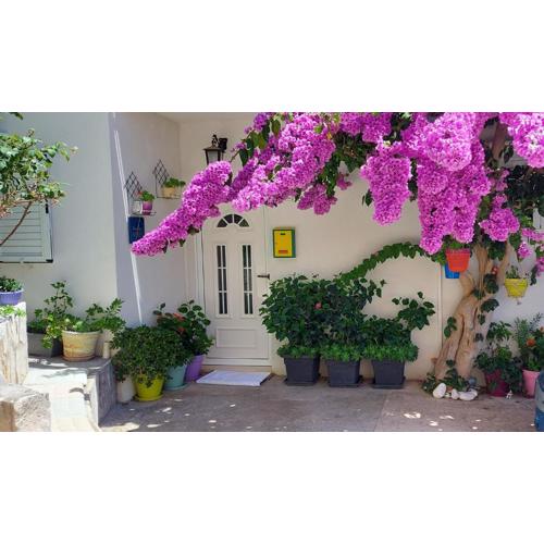 Guest House Mediterranean