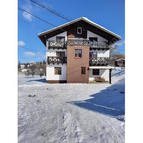 Guest House Stari Druzy