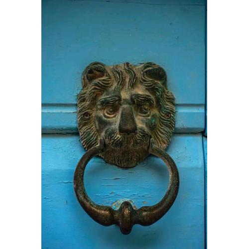 Guesthouse Lion