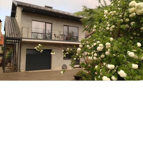 Guesthouse U dida Viktora