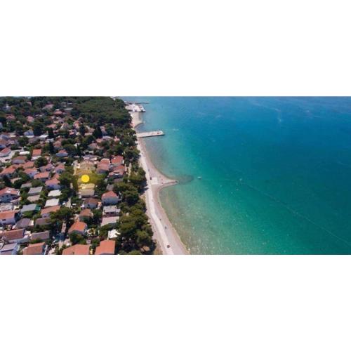Gušt
