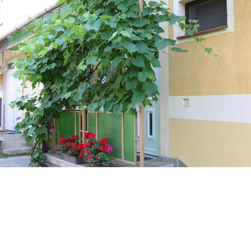 Hajnalka Apartmanház