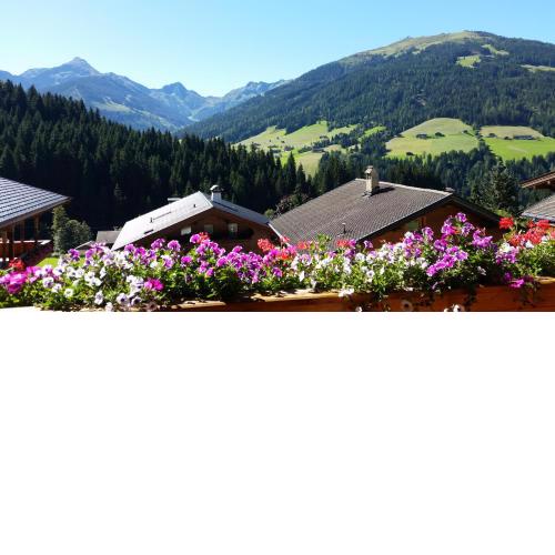 Hanslerfeld