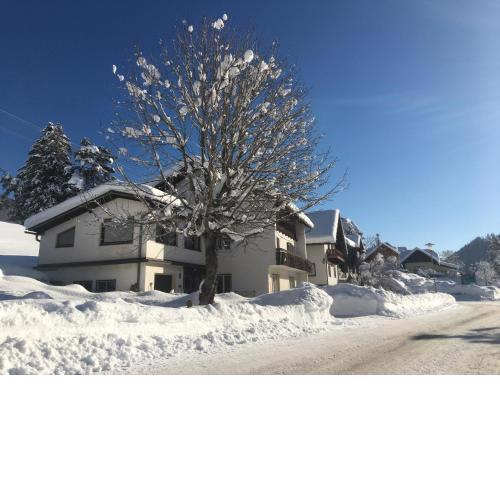 Haus Alpentraum
