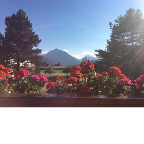 Haus Angelika - bed & breakfast - Innsbruck/Igls