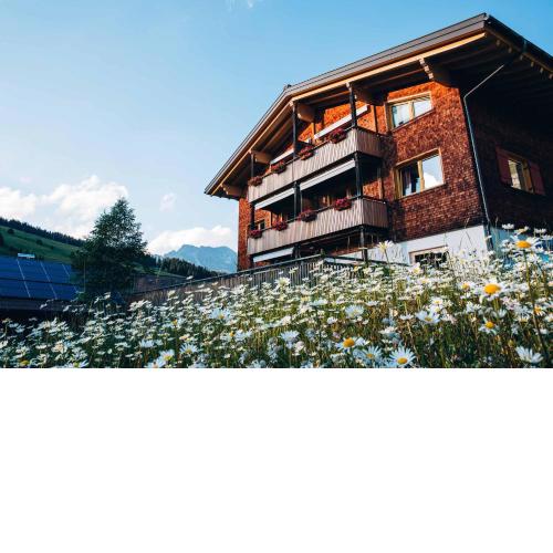 Haus Braunarl