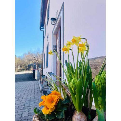 Haus Erna Weitra